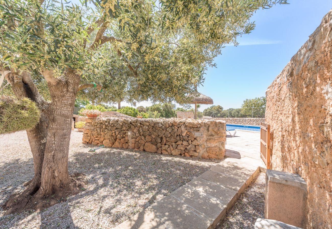 Casa rural en Cas Concos Des Cavaller - Winter Finca Can Concarri