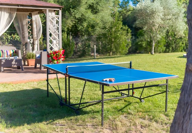 Finca en Alcúdia - 113 Finca Can Roig ETV/955 by Mallorca Charme Finca en Alcúdia - 113 Finca Can Roig ETV/955 by Mallorca Charme