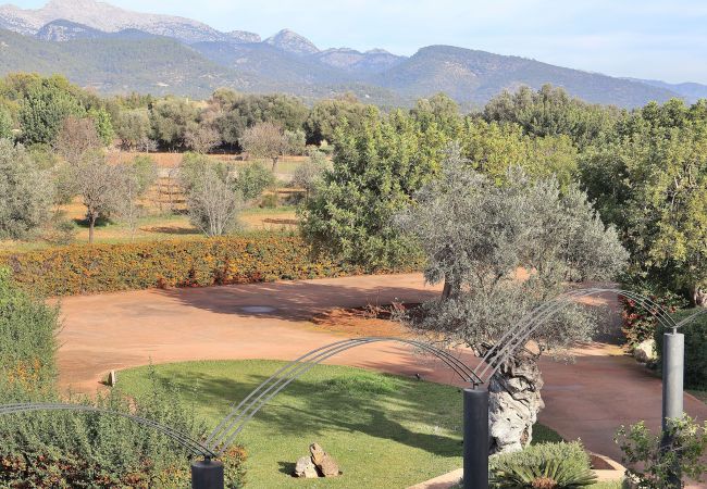 Finca en Binissalem - Villa Es Triquet 151 by Mallorca Charme