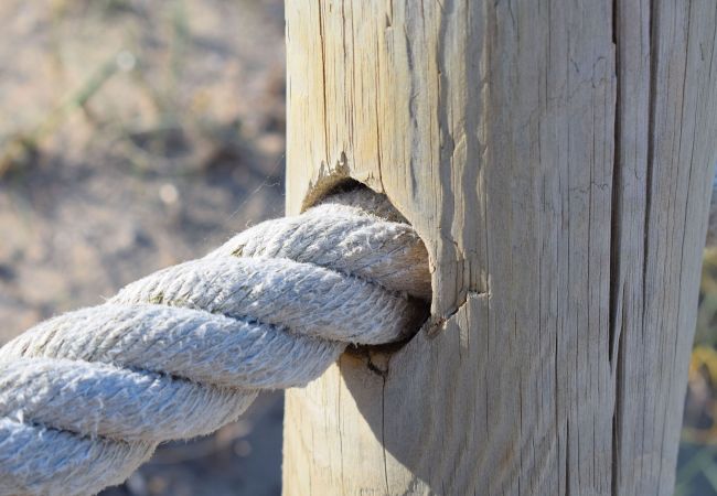 Finca en Campos - 408 Finca Alcoraia ETV2951 by Mallorca Charme Finca en Campos - 408 Finca Alcoraia ETV2951 by Mallorca Charme