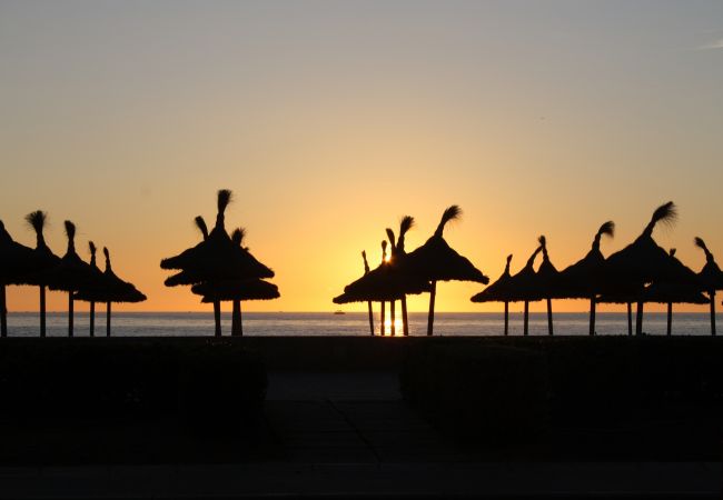 Finca en Campos - 408 Finca Alcoraia ETV2951 by Mallorca Charme Finca en Campos - 408 Finca Alcoraia ETV2951 by Mallorca Charme