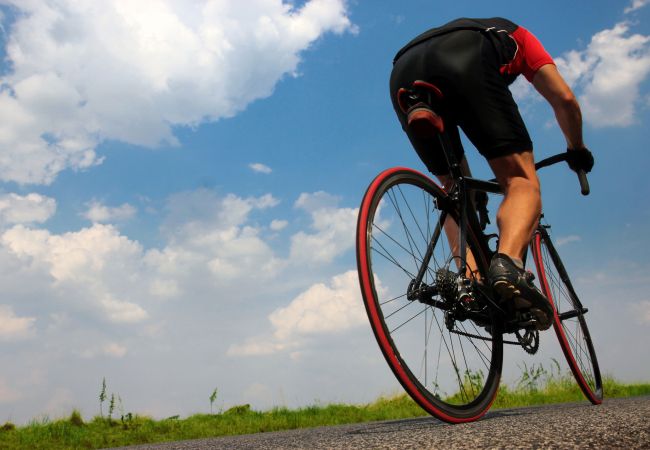 Finca en Campos - 408 Finca Alcoraia ETV2951 by Mallorca Charme Finca en Campos - 408 Finca Alcoraia ETV2951 by Mallorca Charme