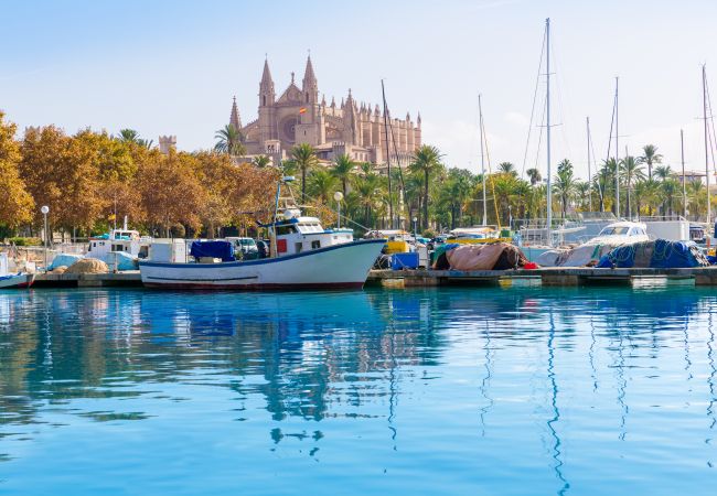 Finca en Campos - 408 Finca Alcoraia ETV2951 by Mallorca Charme Finca en Campos - 408 Finca Alcoraia ETV2951 by Mallorca Charme