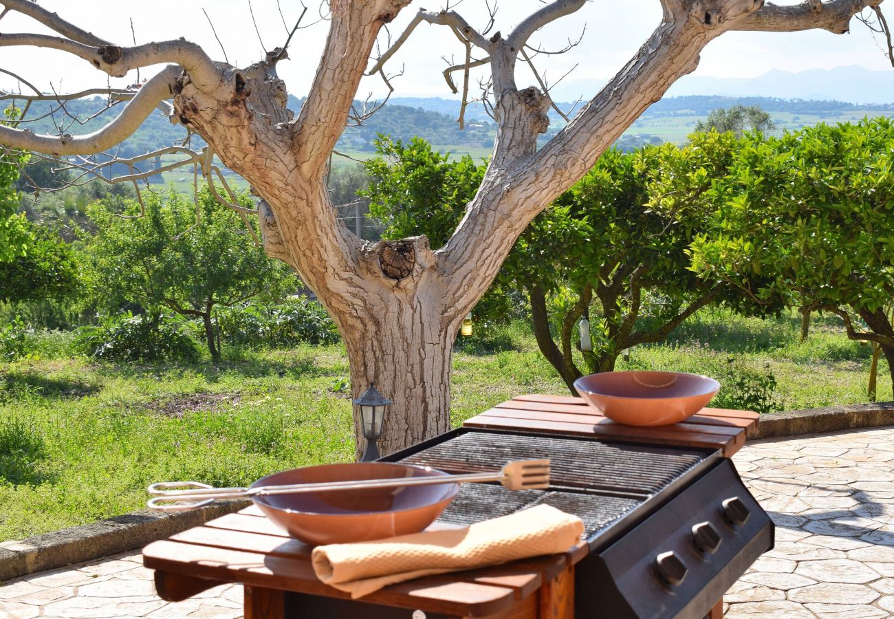 Finca en Santa Margalida - Villa Sa Caseta des Padrí 053 by Mallorca Charme