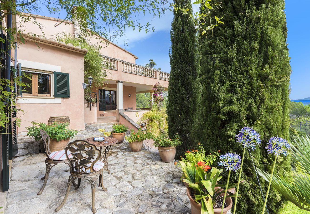 Terraza con jardin 