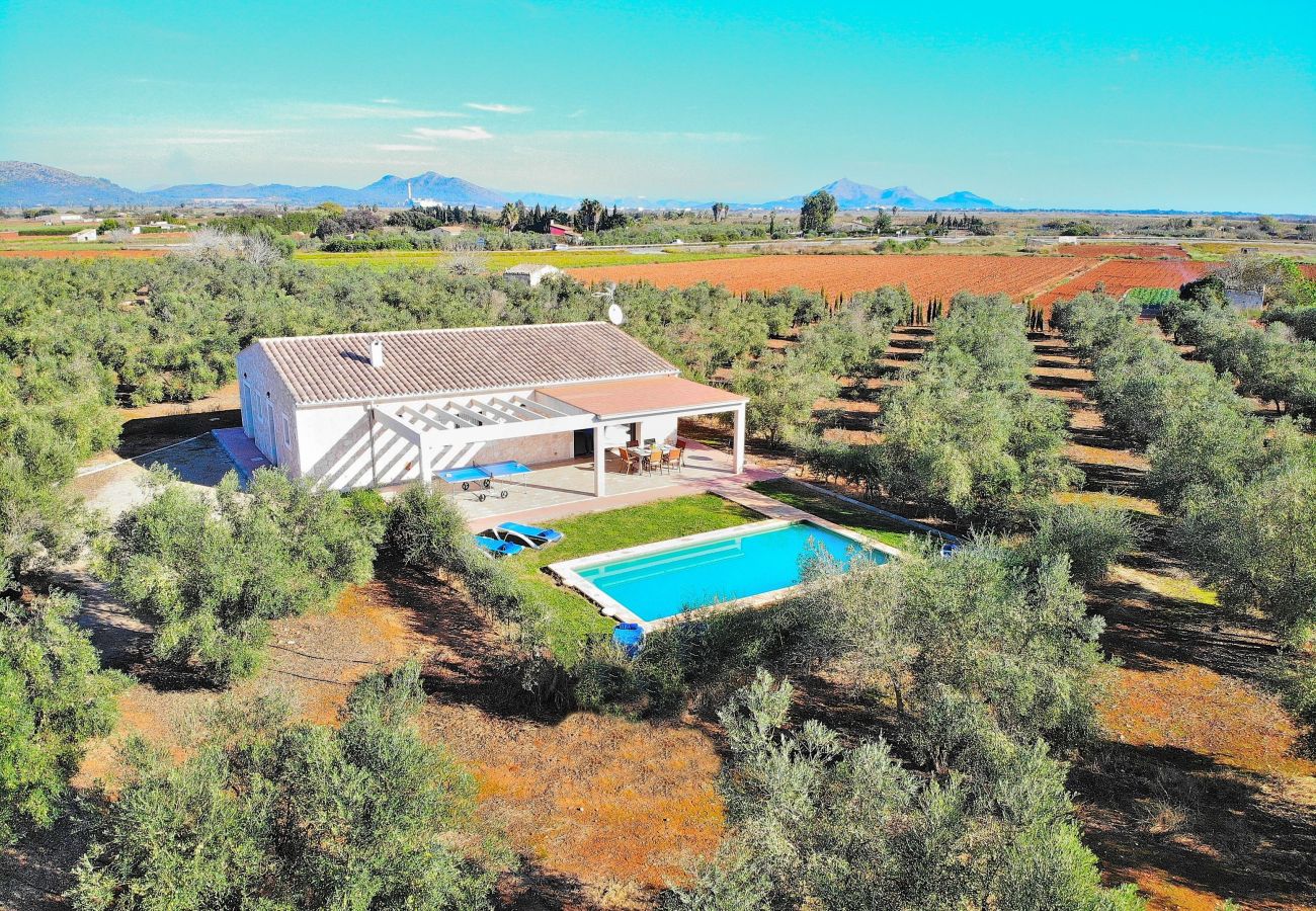 Gran finca rodeada de naturaleza en Can Picafort, alquiler