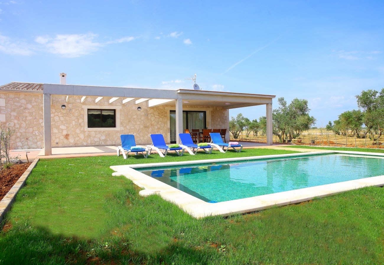finca, vacaciones, naturaleza, piscina