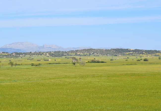 Finca en Maria de la salut - 012 Finca Es Gassons VT/1874 by Mallorca Charme Finca en Maria de la salut - 012 Finca Es Gassons VT/1874 by Mallorca Charme