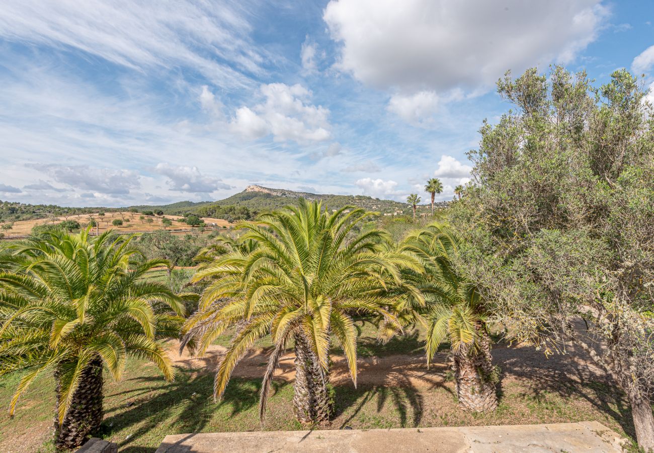 Casa en Manacor - Finca Sa Bassa Seca