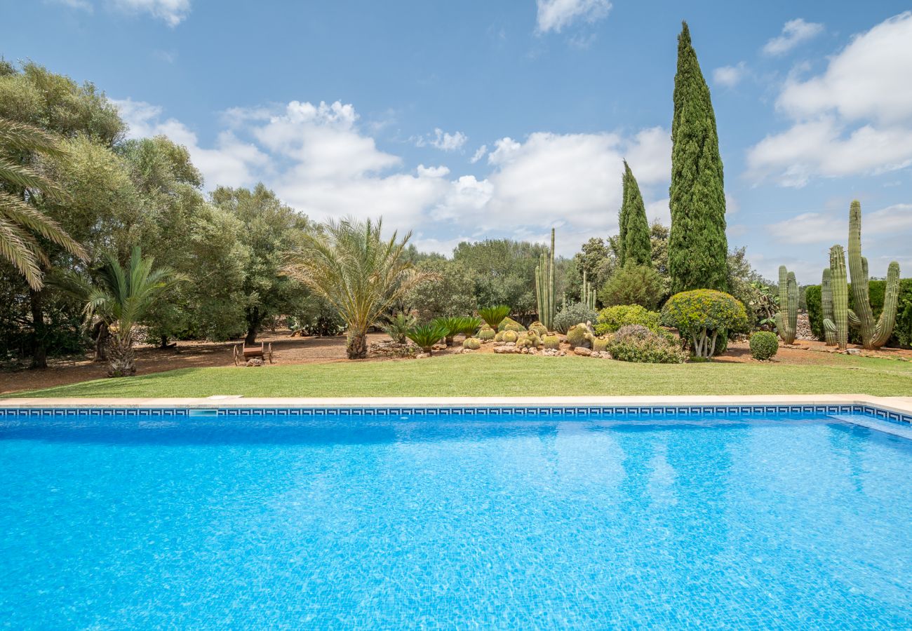 Casa en Campos - Finca Ses Rotes de Son Rossinyol