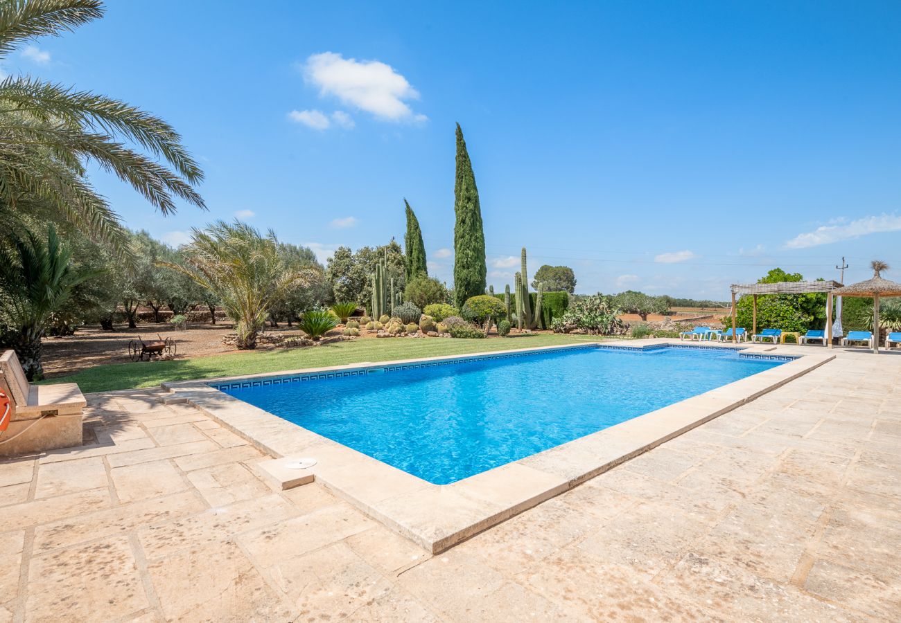 Casa en Campos - Finca Ses Rotes de Son Rossinyol