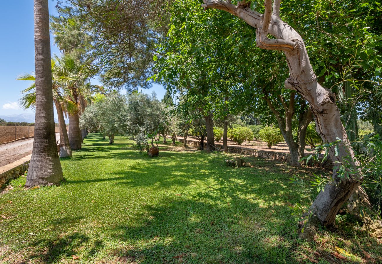 Casa en Muro - Finca Son Morell