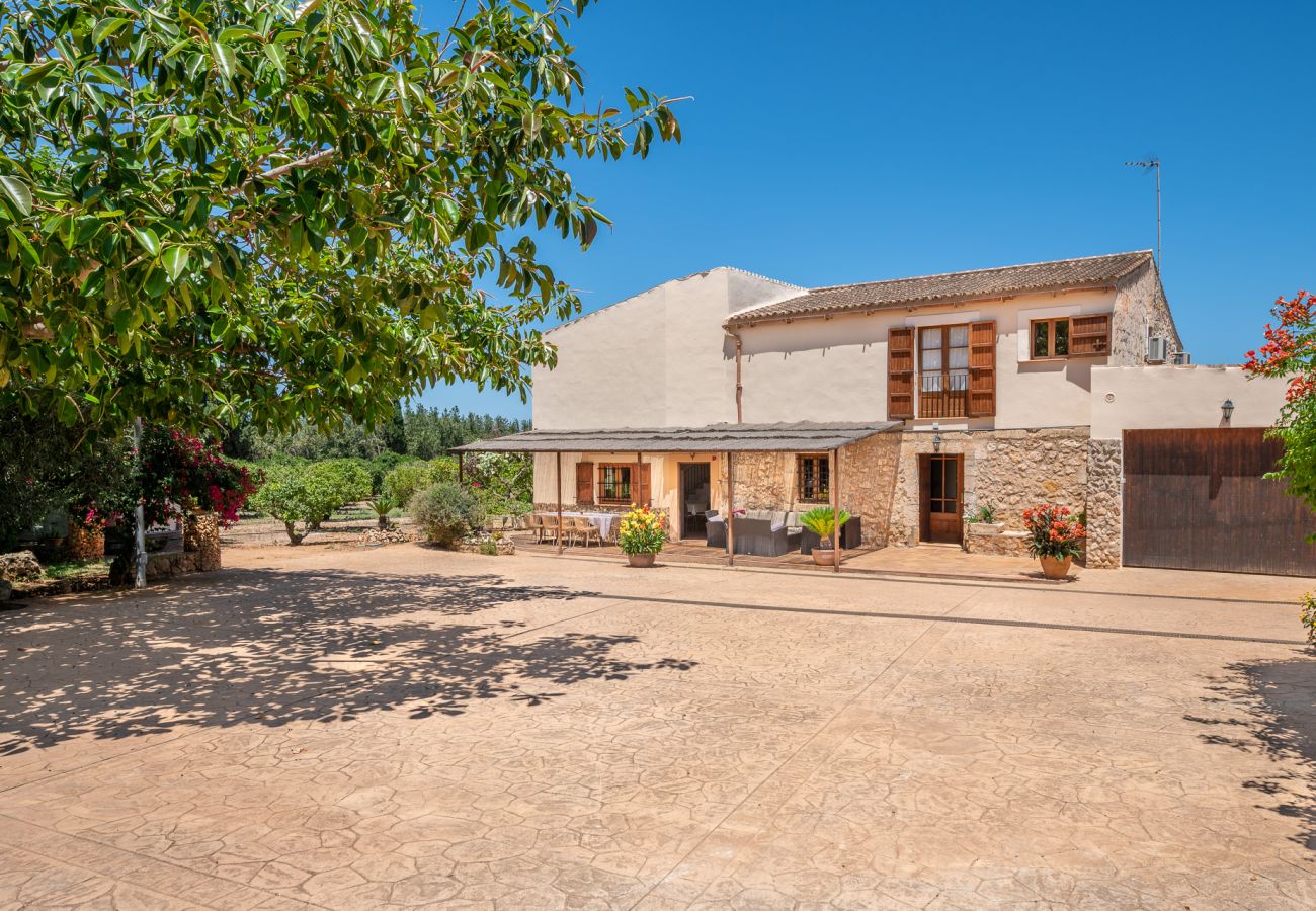 Casa en Muro - Finca Son Morell