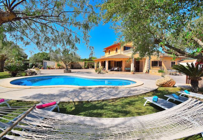 Casa vacacional, piscina, Mallorca, hamacas, vacaciones, tomar el sol