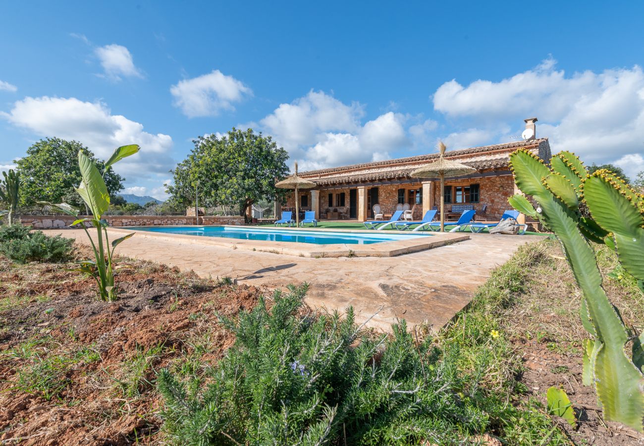 Casa rural en Manacor - Finca Can Cabestre