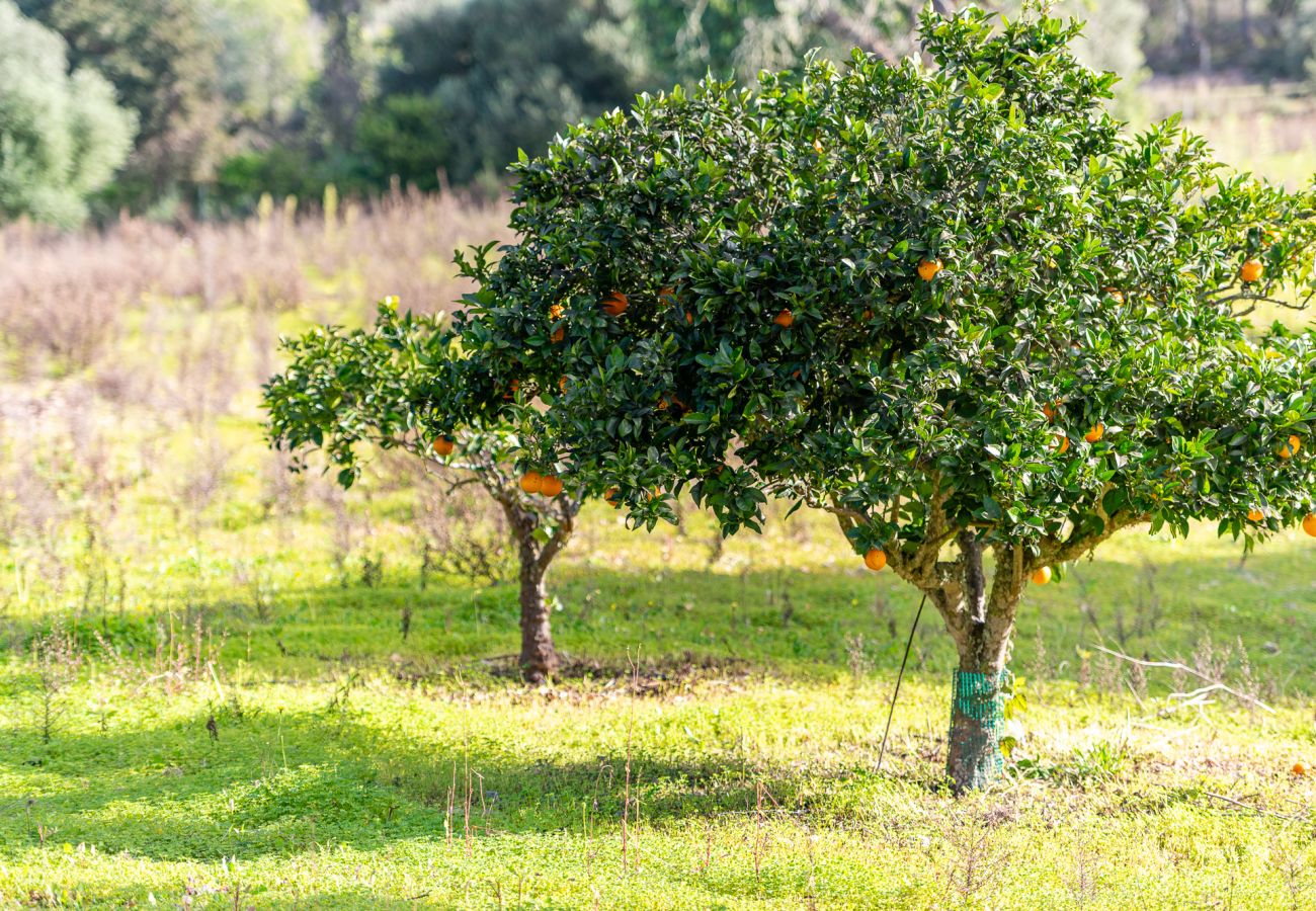 Casa en Felanitx - Finca Binifarda by Mallorca House Rent