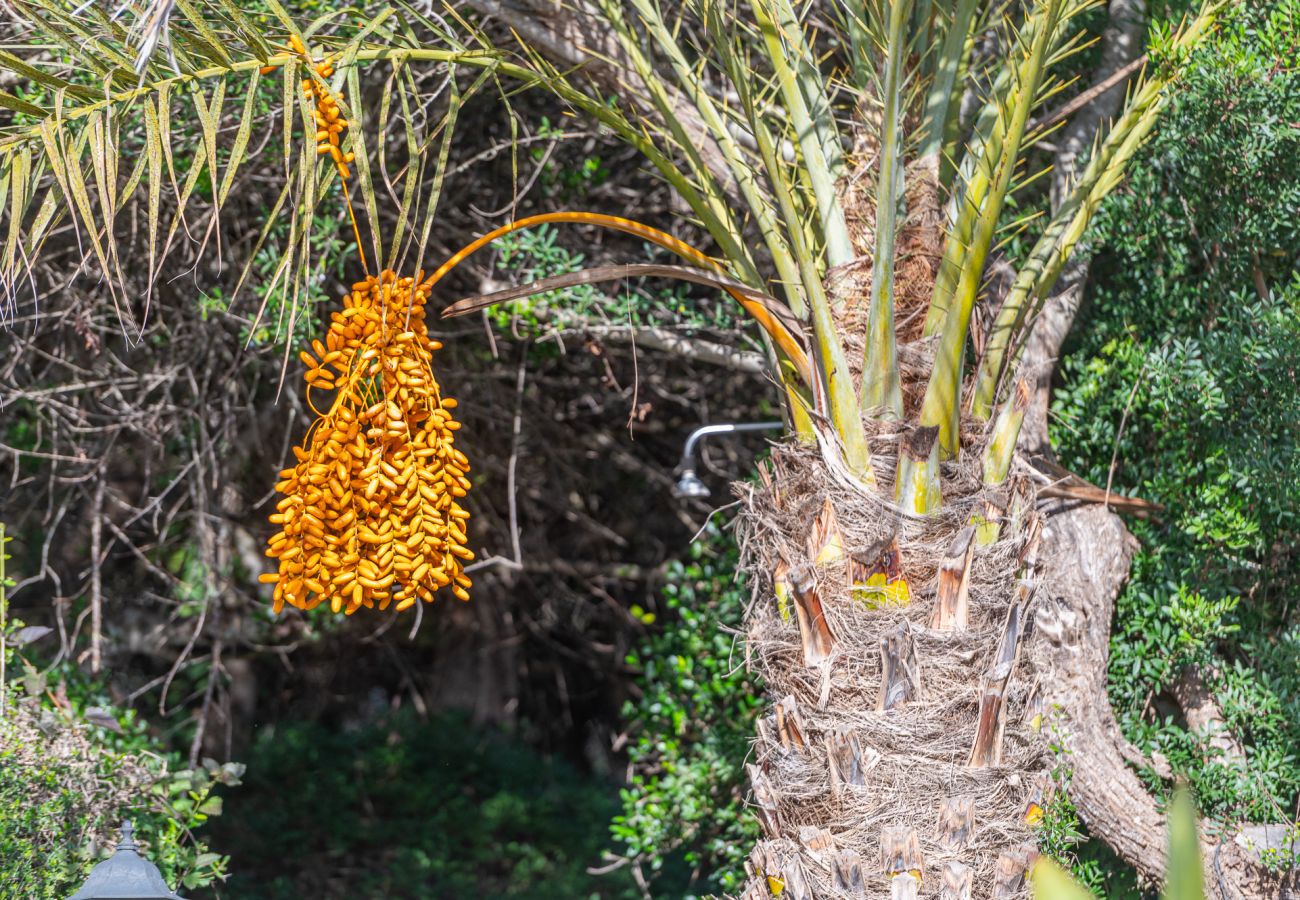 Casa en Felanitx - Finca Binifarda by Mallorca House Rent