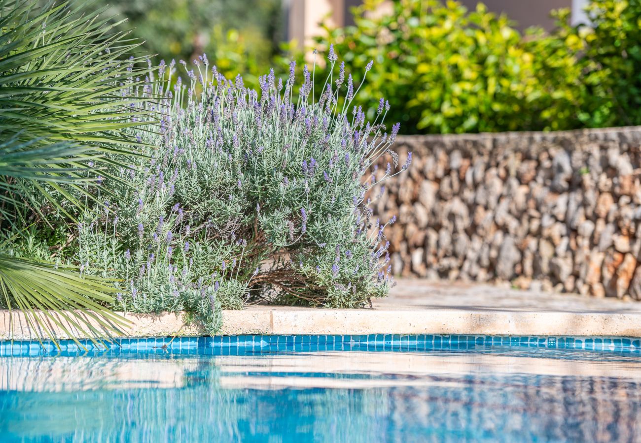 Casa en Felanitx - Finca Binifarda by Mallorca House Rent